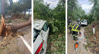 Tromba d’aria e grandine a Fossacesia, albero crolla su un’auto: donna ferita